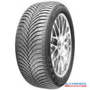 MAXXIS AP3 (4 STAGIONI)