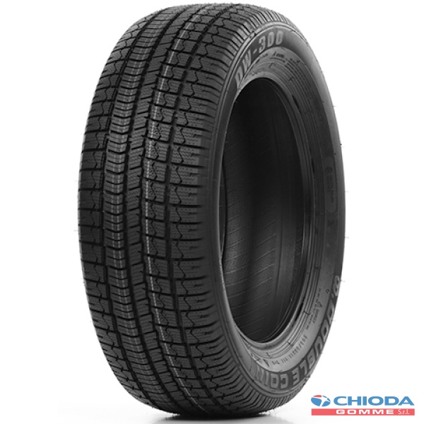 DOUBLE COIN DW300 SUV