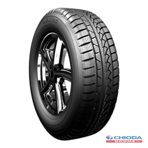 PETLAS SNOMASTER W651
