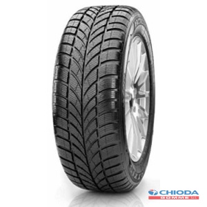 MAXXIS WP05