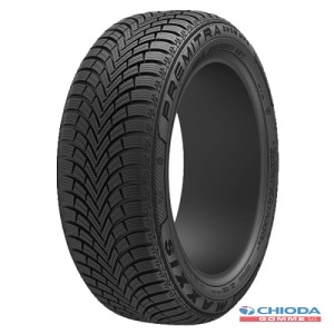 MAXXIS WP6