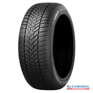 DUNLOP WINTER SPORT 5