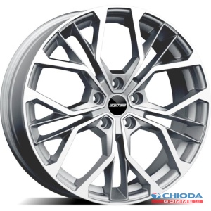 MATISSE SILVER (DEDICATO FORD)