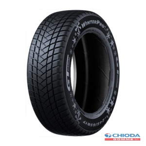 GT RADIAL WINTER PRO 2 EVO