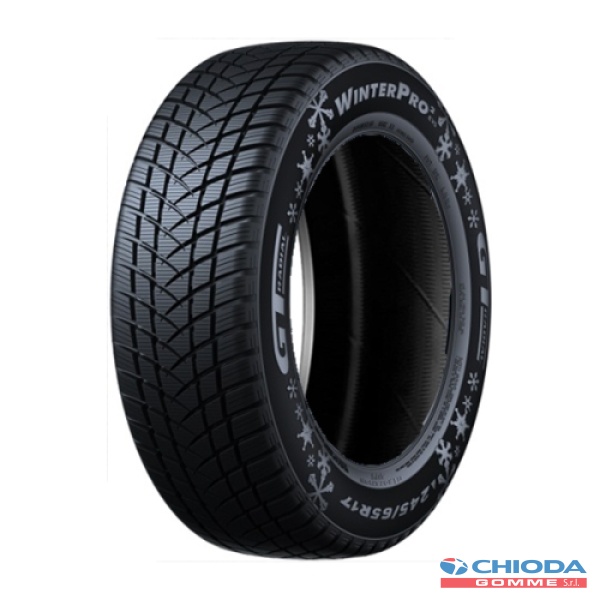 GT RADIAL WINTER PRO 2 EVO