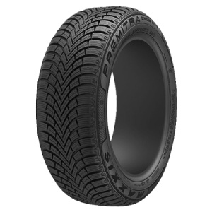 MAXXIS WP6