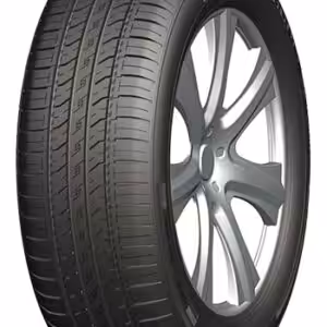 DOUBLE COIN  DC DCO-MAX 195/55 R15 85V